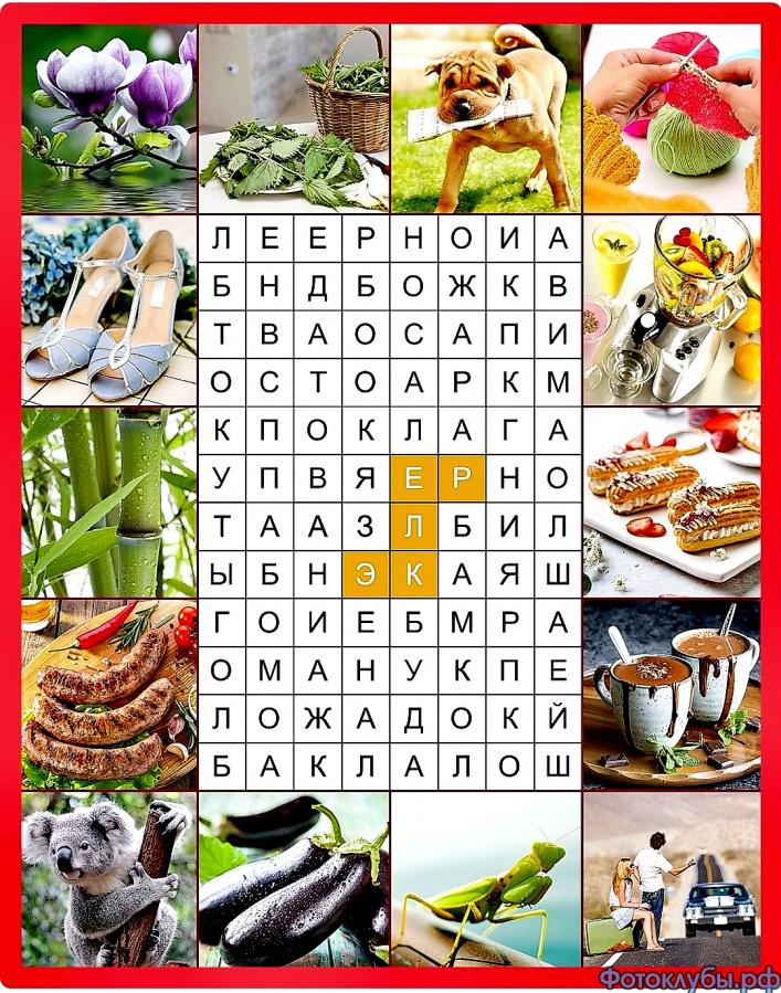 Филворд с картинками