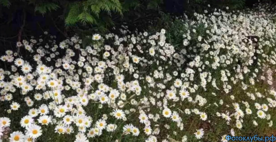 "Кто не спрятался, я не виноват..." ))