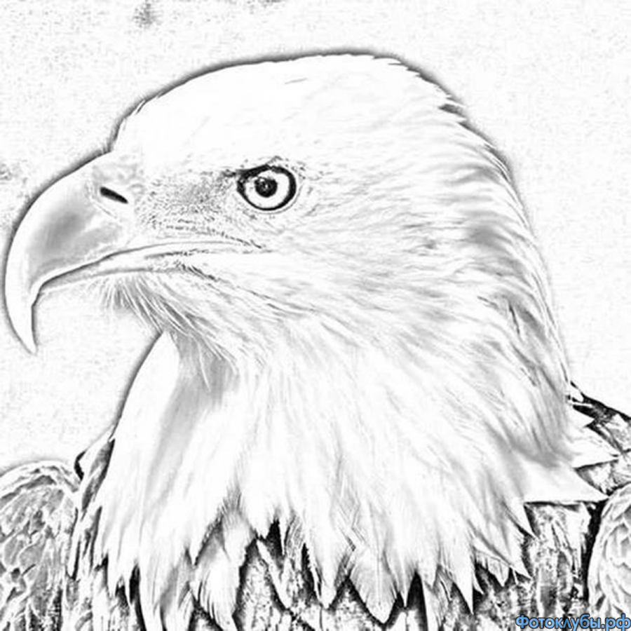 МАГИЯ ИЛЛЮЗИИ